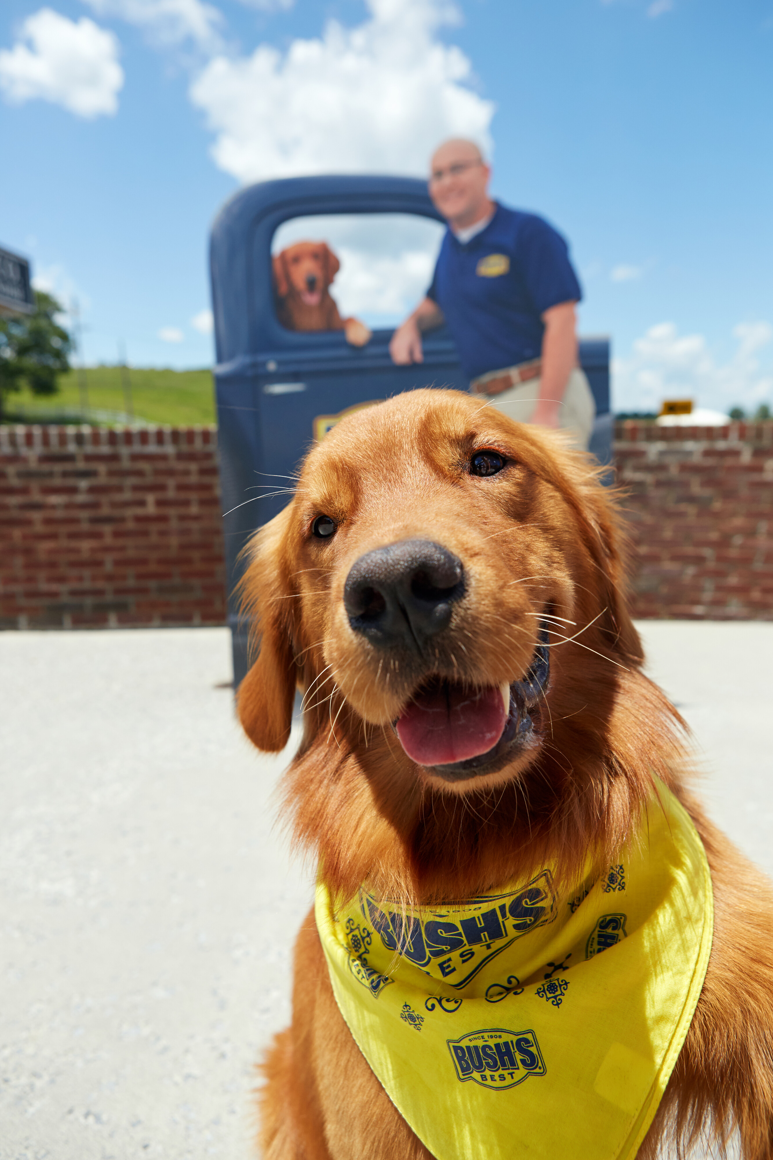 A golden retriever wearing a bandana smiling in front of a man and a vintage pickup truck